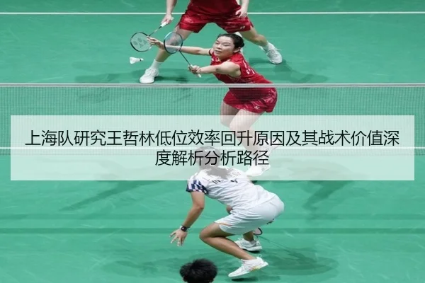 上海队研究王哲林低位效率回升原因及其战术价值深度解析分析路径